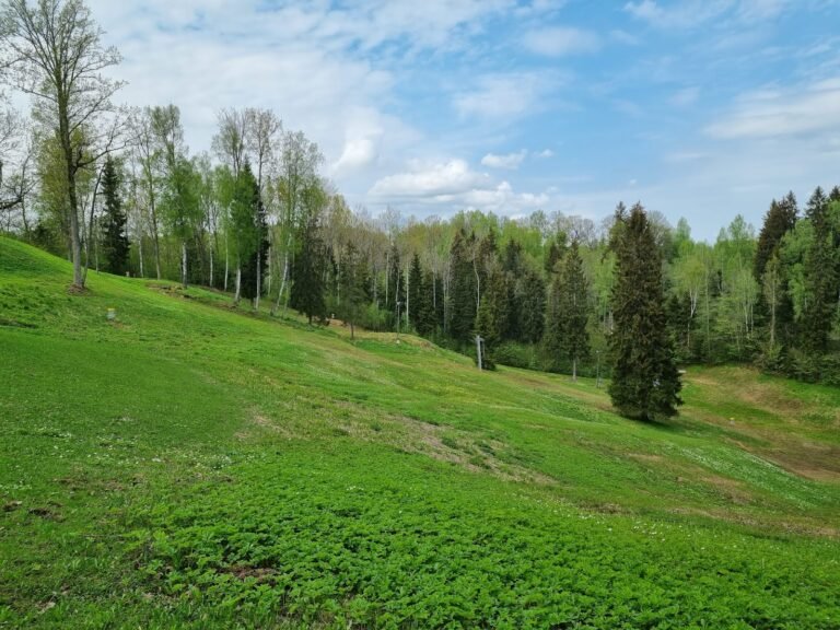 Disku golfs Reinis (Reiņa Trase) – foto 3
