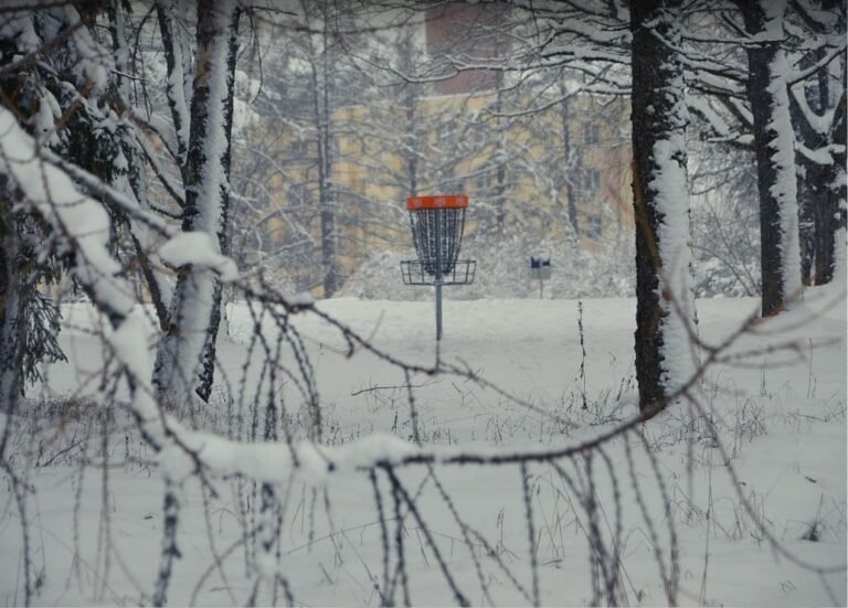 Vidzemes Tehnoloģiju un Dizaina tehnikuma disku golfa laukums Priekuļos – foto 3